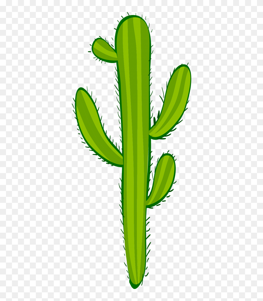 Transparent Hedgehog Cactus Clip Art - Hedgehog Cactus - Png Download