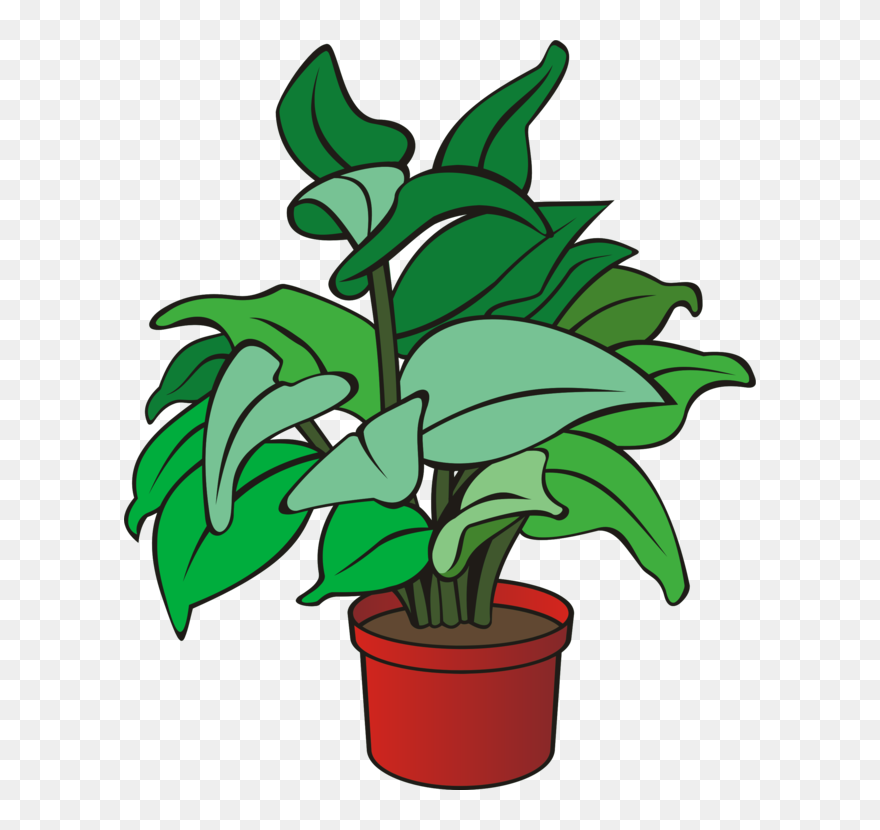 Gardening Plant Flower Leaf Clipart - Clipart Of A Plant - Png Download