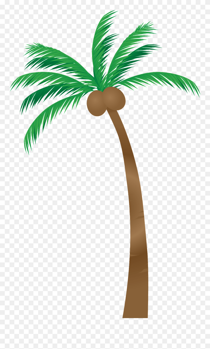 Palm Trees Clipart - Png Download