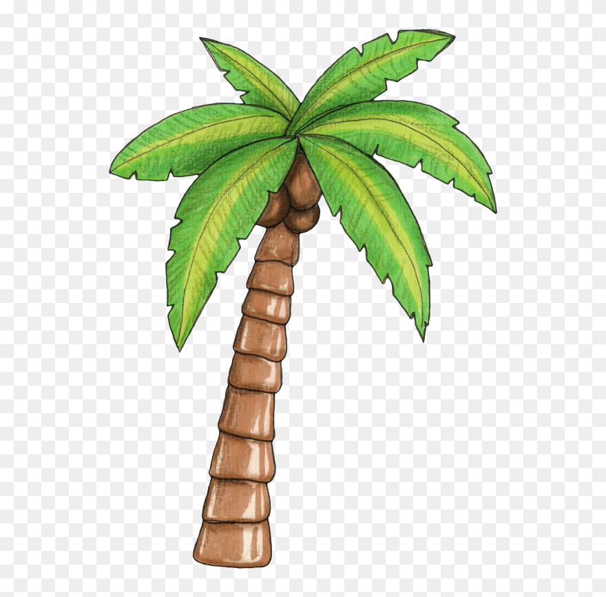 Hawaiian Palm Tree Clipart Svg Library Library Como - Moana Palm Tree - Png Download