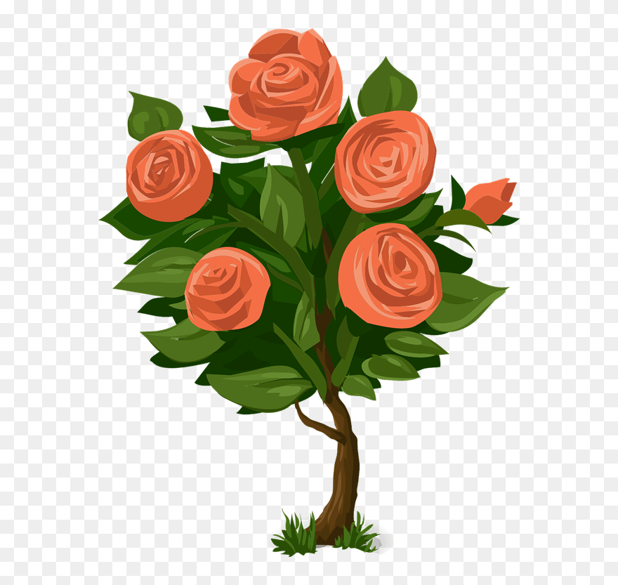 Plant Clipart Potted Plant - Rose Bush Clipart - Png Download