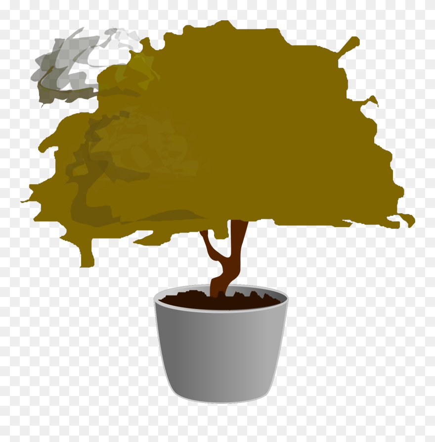 Bonsai Clipart