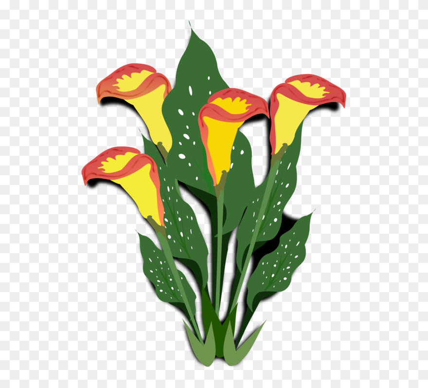 Plant,flora,leaf - Ornamental Plants Clip Art - Png Download