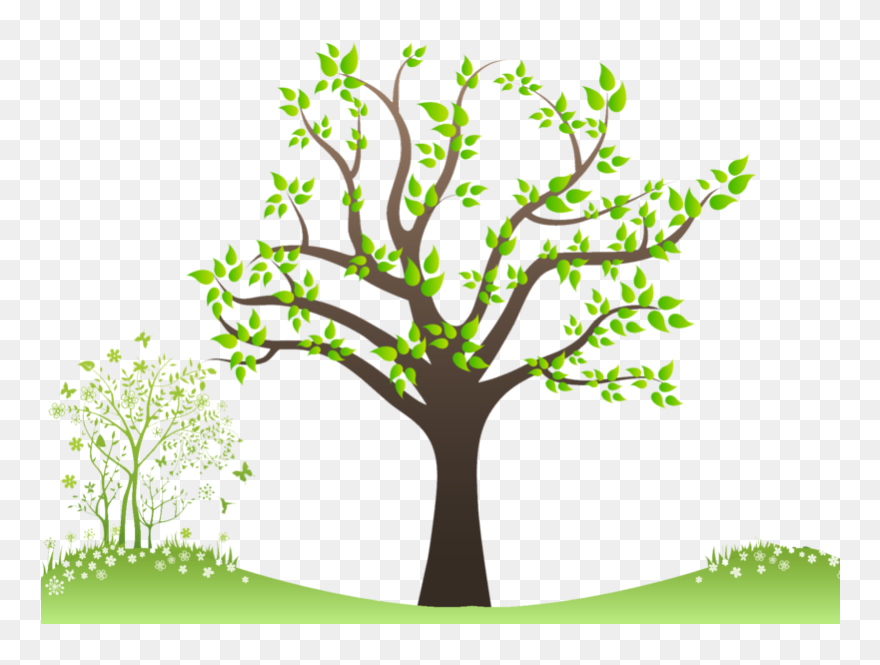 Family Tree Png - Family Tree Hd Png Clipart