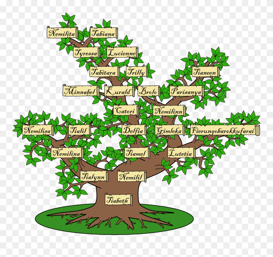 Family Tree And Genealogy Blog - Background Of Family Tree Clipart