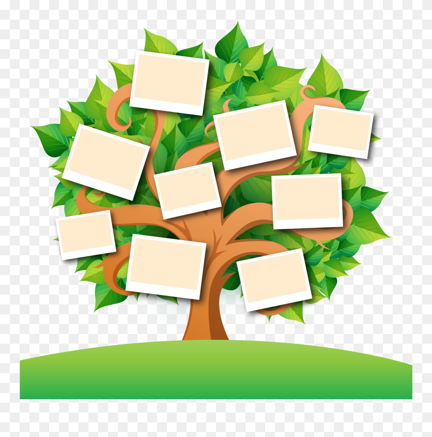 Family Tree Transparent Images Png - Transparent Family Tree Tree Clipart