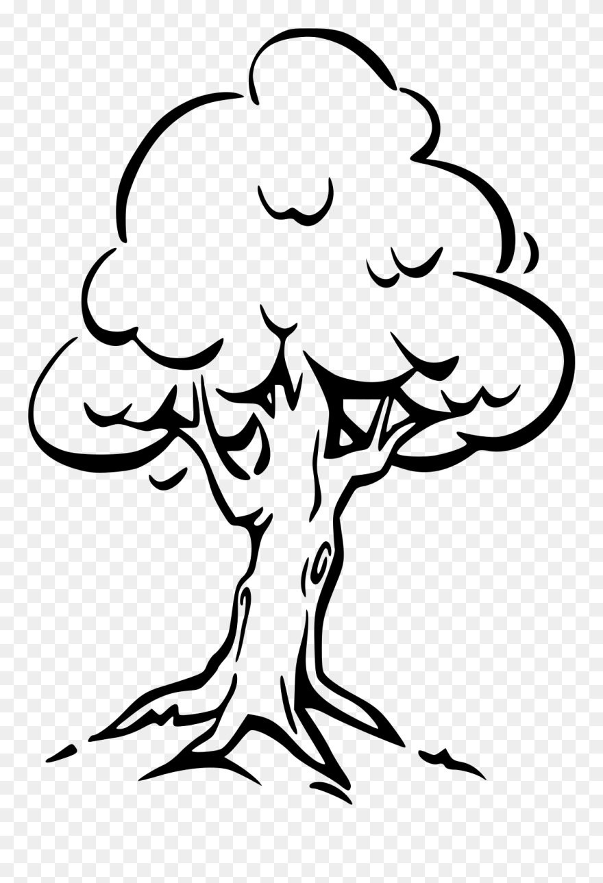 Easy Oak Tree Drawing Clipart