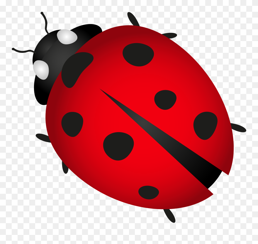 Lady Bug Transparent Png Clip Art Image - Clip Art Transparent Lady Bug