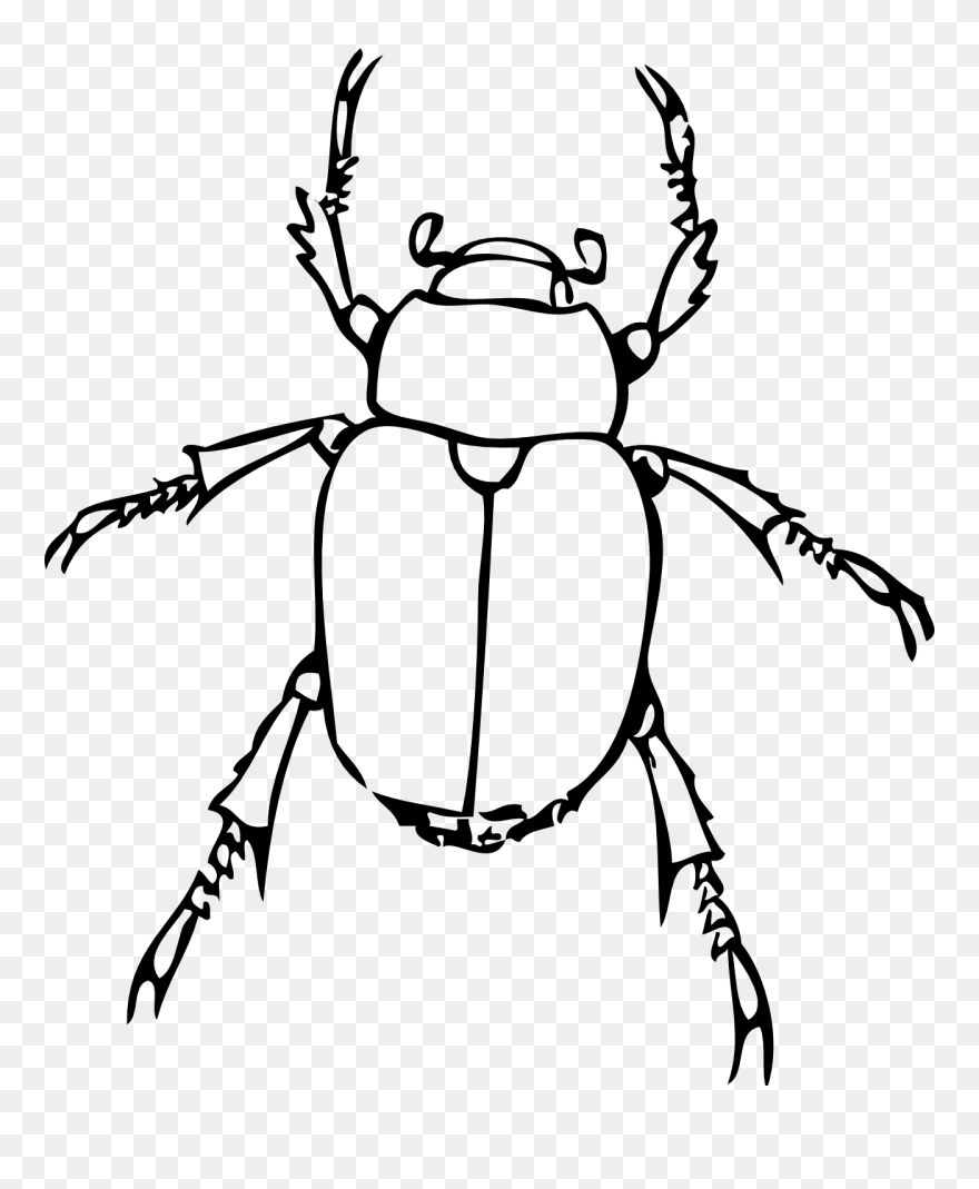 Insect Clipart Black And White Free Images 2 - Insect Clip Art Black And White - Png Download