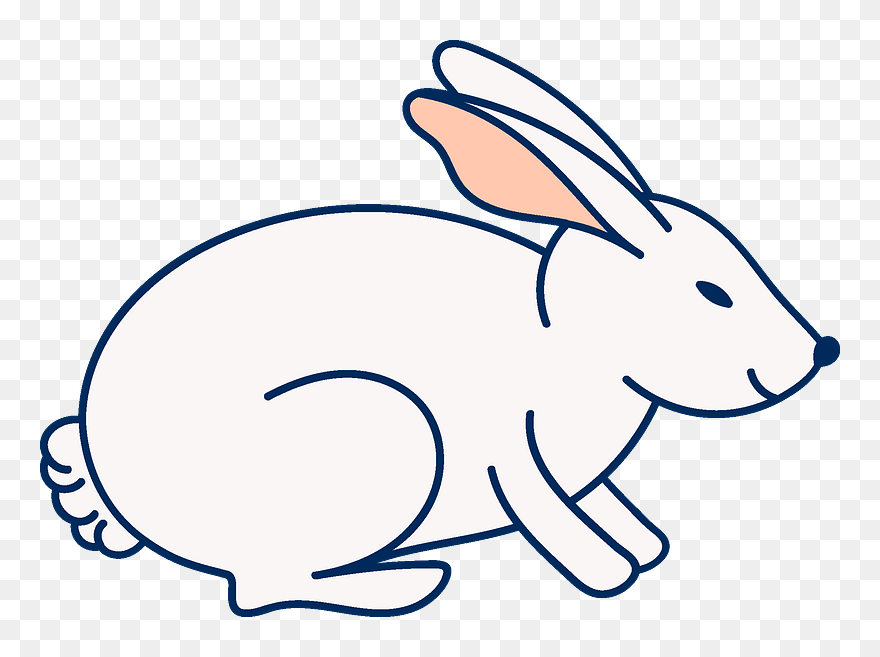 Easter Bunny Clipart - Cartoon - Png Download