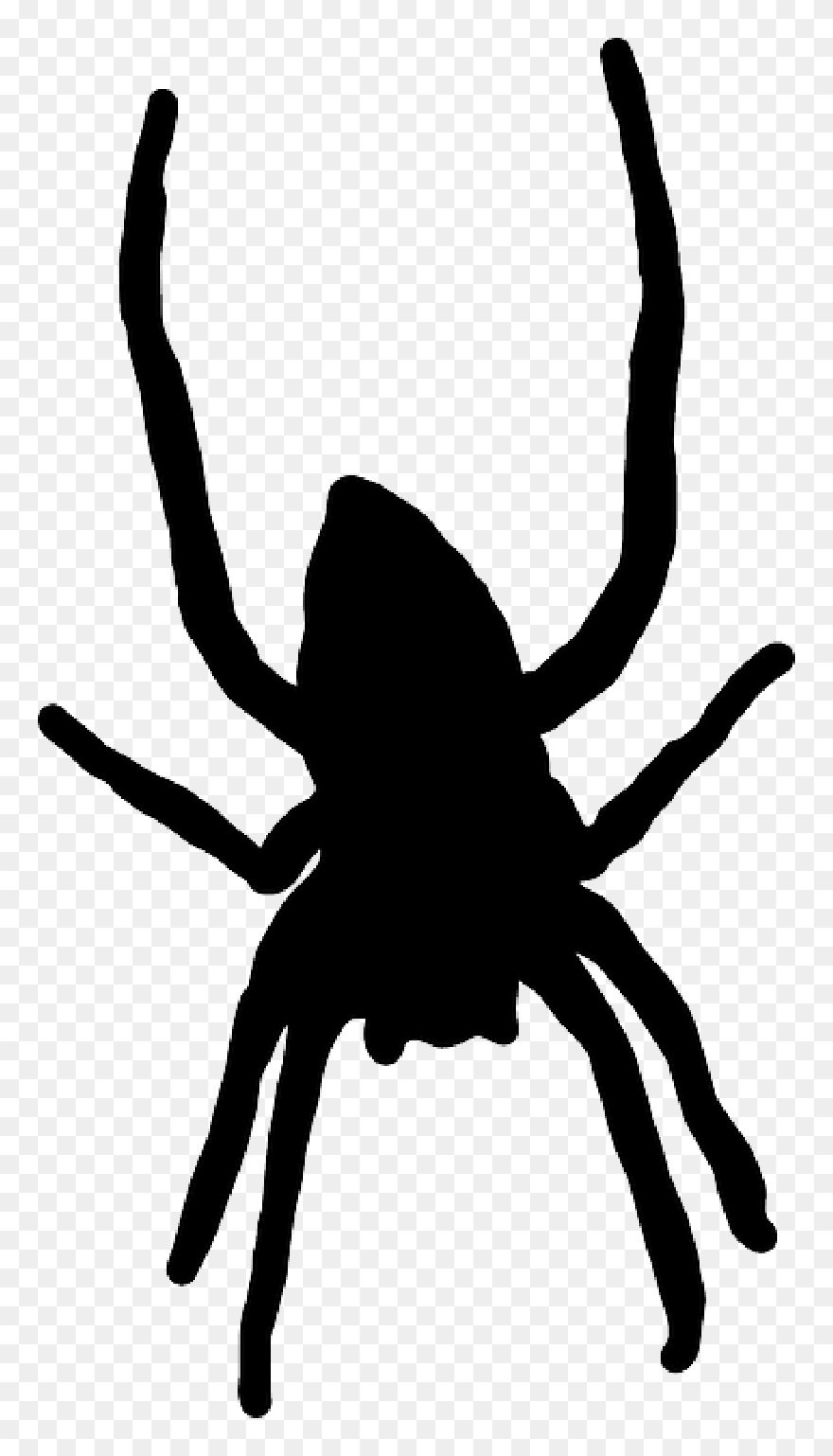 Spider Png Clip Art - Spider Cartoon Transparent