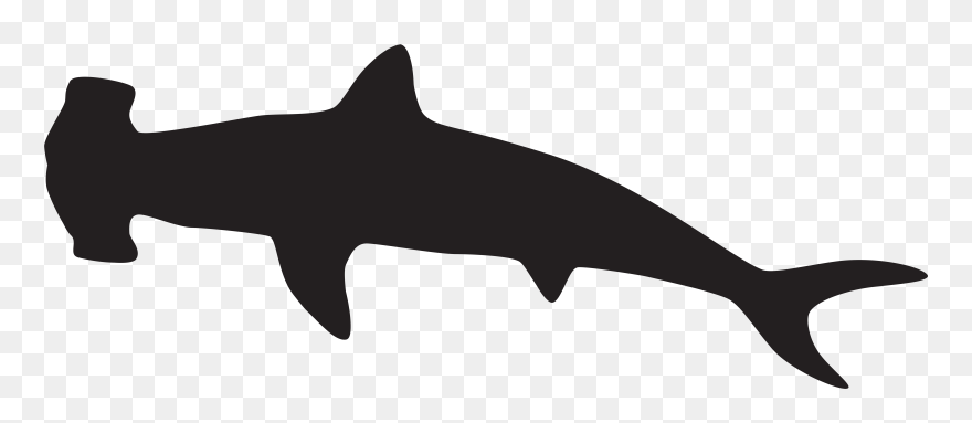 Transparent Cartoon Shark Silhouette - Silhouette Hammerhead Shark Clipart - Png Download