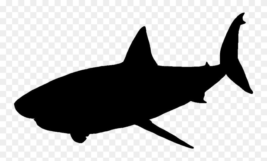 Great White Shark Vector Graphics Portable Network - Shark Silhouette Png Clipart