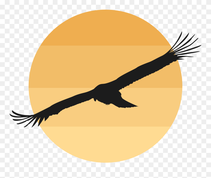 Flying Clipart Wild Bird - Bird & Sun Logo Png Transparent Png