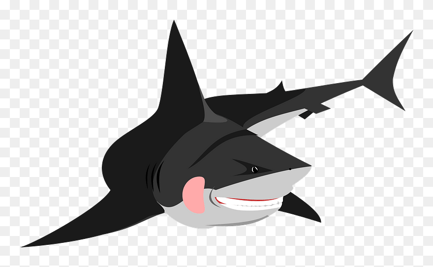 Friendly Shark Clipart - Great White Shark Pic Icons - Png Download