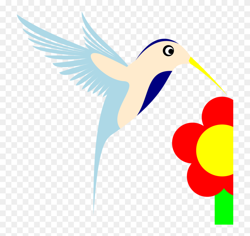 Bird Of Prey Clipart Hummingbird - Bird - Png Download