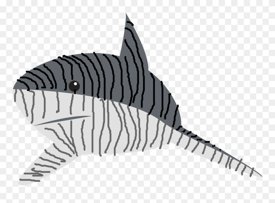 Shark,monochrome Photography,fish - Tiger Sharks Clip Art - Png Download