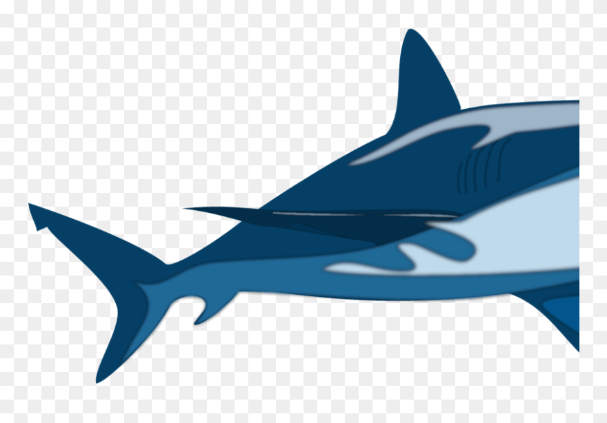 Shark Snow Cone Clipart