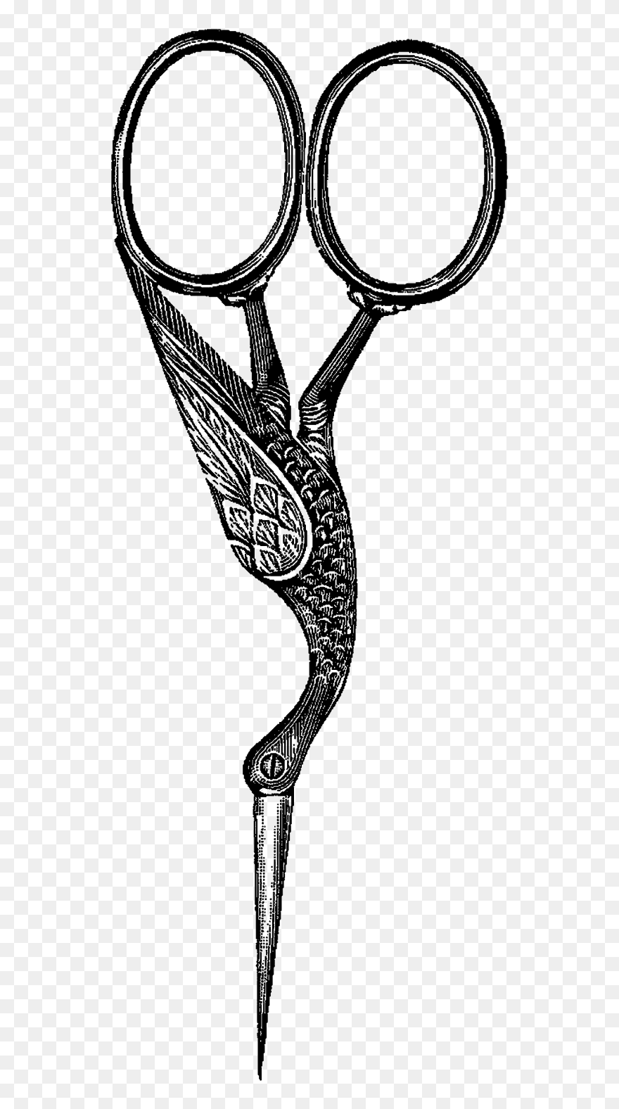Digital Scissors Clip Art - Bird Scissors Png Transparent Png