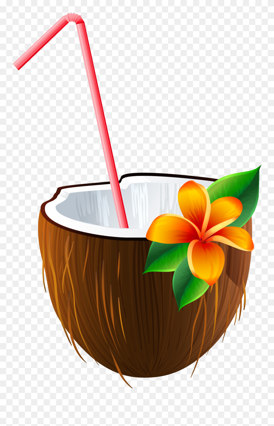 Exotic Clipart Moana - Coconut Drink Cartoon Png Transparent Png