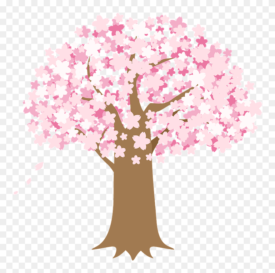 Cherry Blossoms Tree Clipart - Cherry Blossom Viewing Clipart - Png Download