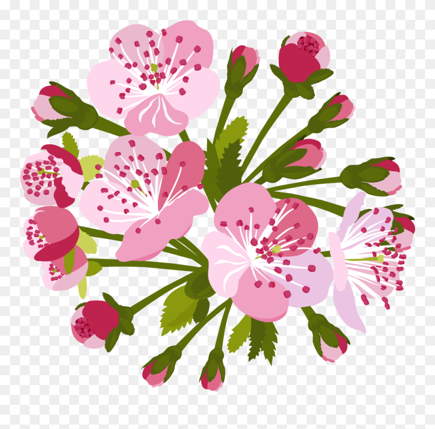 Clip Art - Png Download