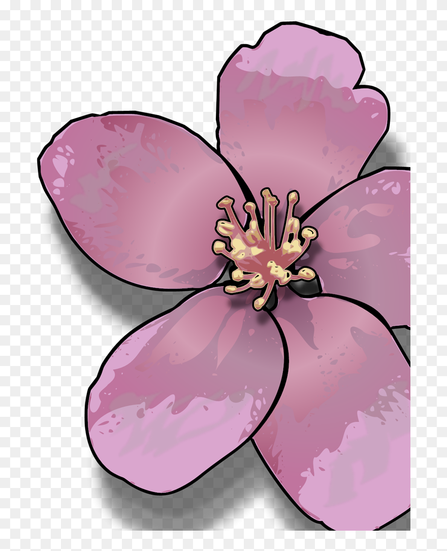 رسم زهرة التفاح Clipart