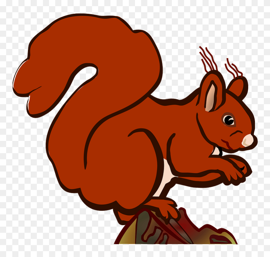 Squirrel Clipart - Dessin Ours Qui Marche - Png Download