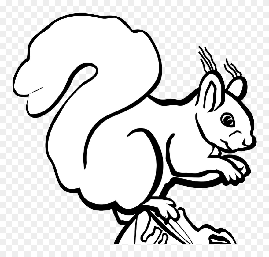 Squirrel Clipart - Clip Art - Png Download