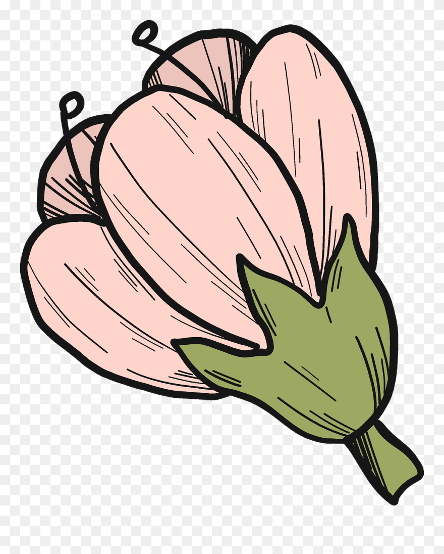 Clip Art - Png Download