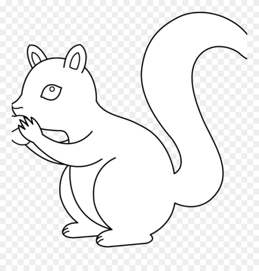 Black And White Pumpkin - Illustration Clipart