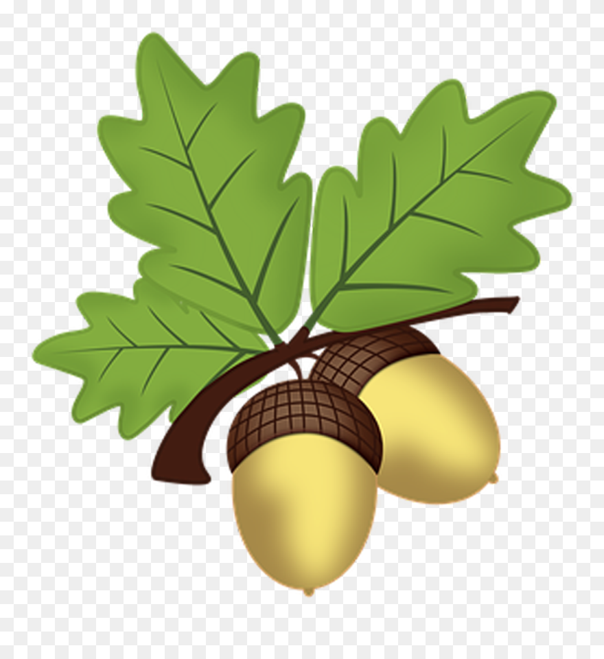 Oak Leaf And Acorn Clipart - Png Download