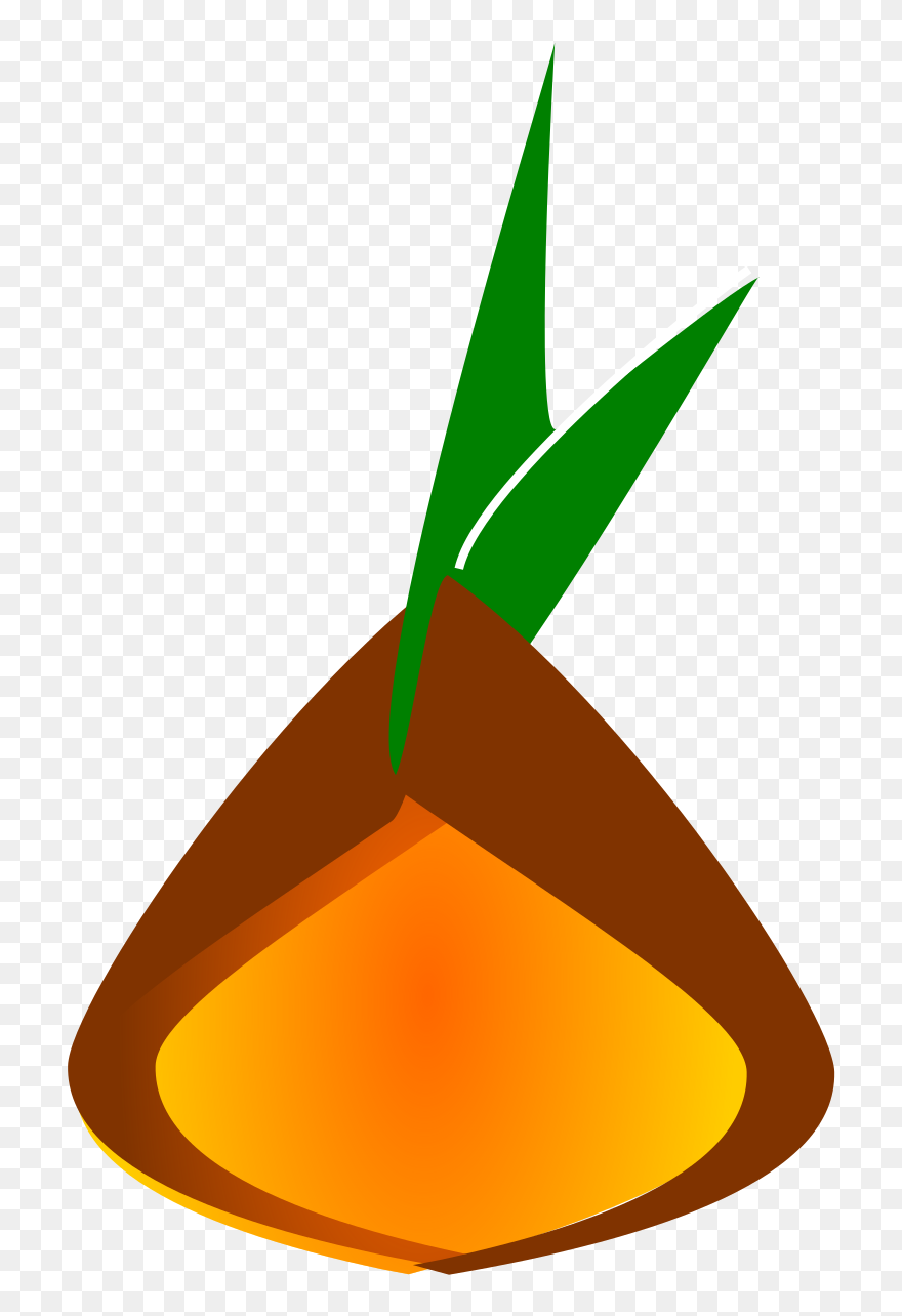 Kernel Clipart Kernal - Png Download