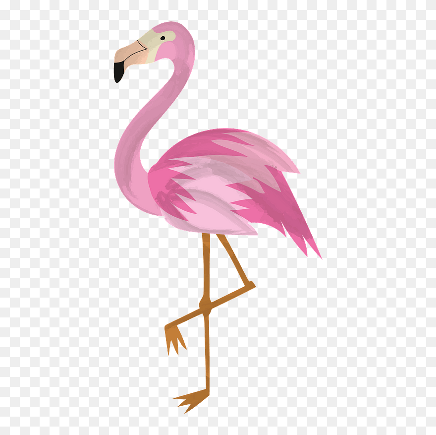Flamingo Clipart - Png Download