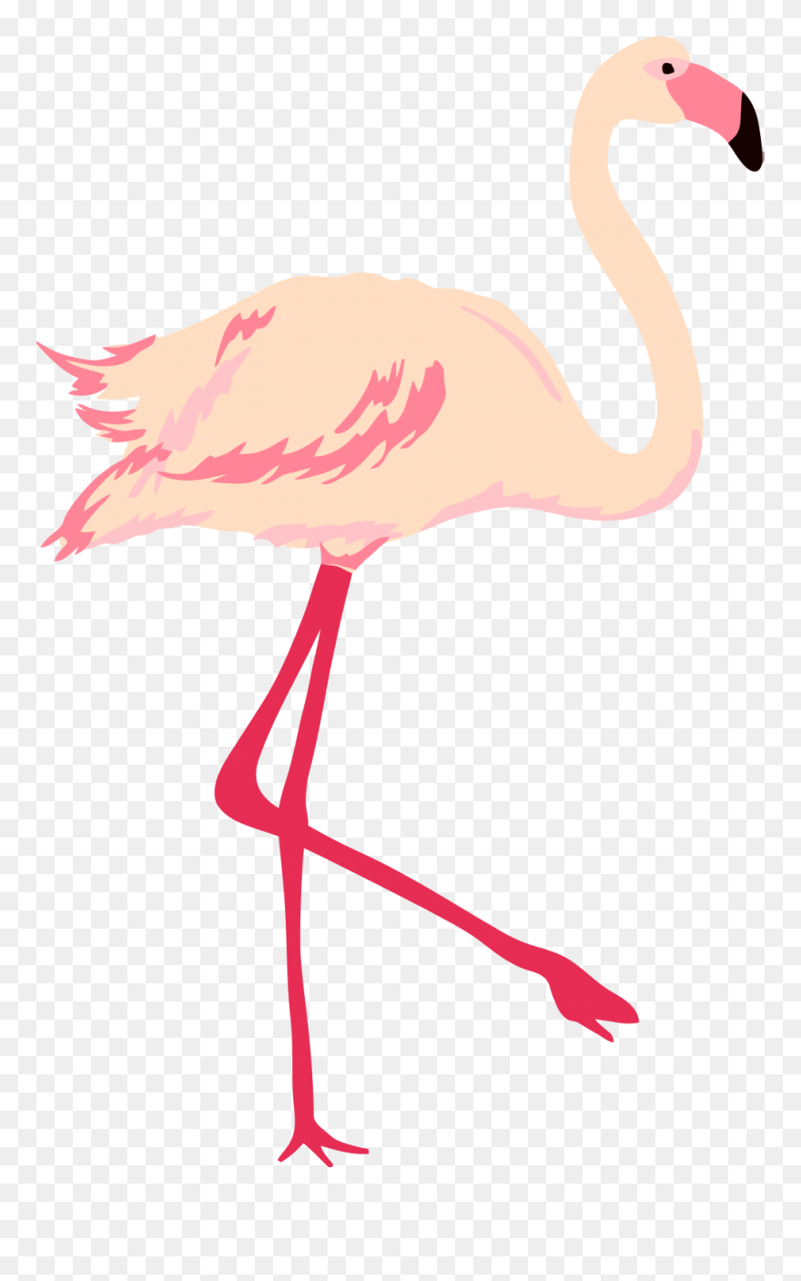 Clip Art - Png Download