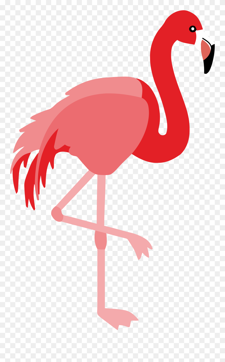 Flamingo Clipart Png - Png Clipart Flamingo Clipart Transparent Png