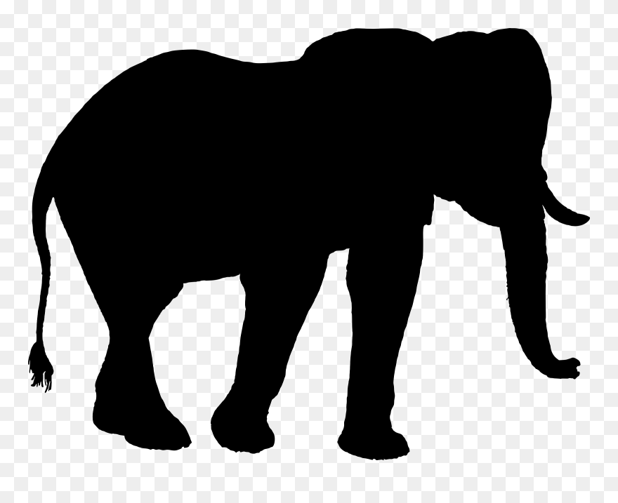 Indian Elephant African Elephant Silhouette Clip Art - Elephant Silhouette - Png Download