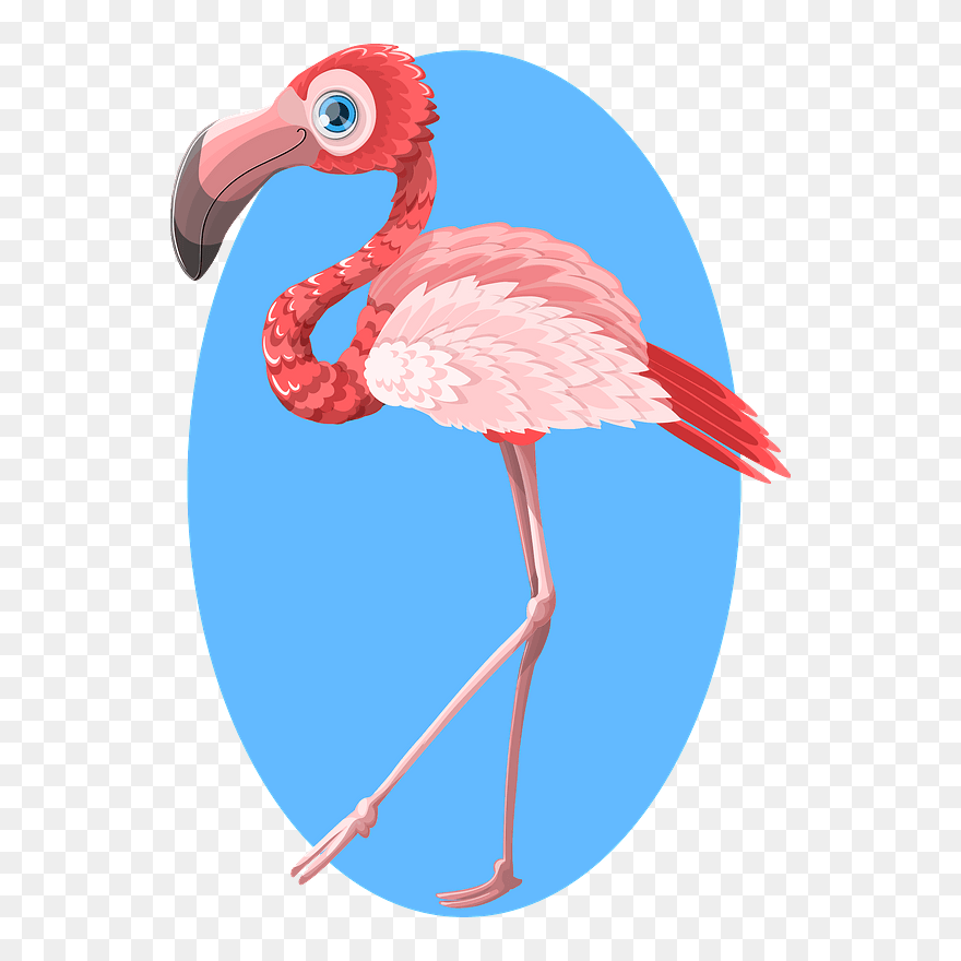 Flamingo Bird Clipart - Png Download