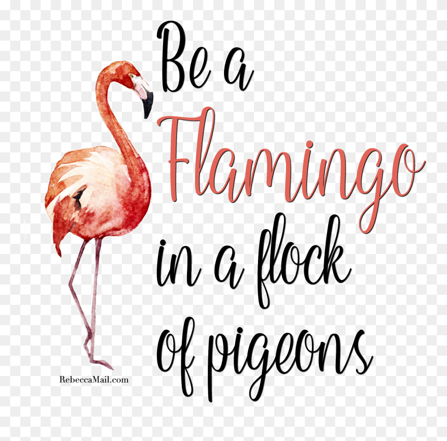 Flock Of Pigeons And One Flamingo Clipart Freeuse Stock - Png Download