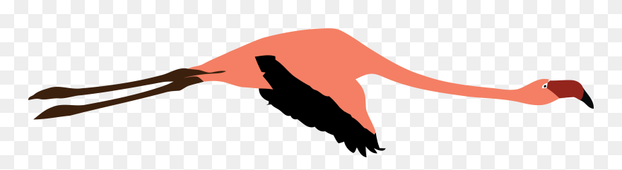 Flamingo Clipart Flying - Illustration - Png Download