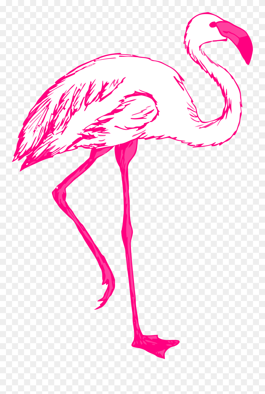 Flamingo Outline Png - Outline Flamingo Clip Art Transparent Png