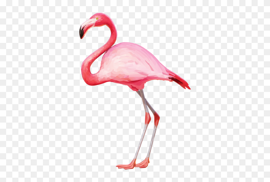 Flamingo Png Transparent Clipart