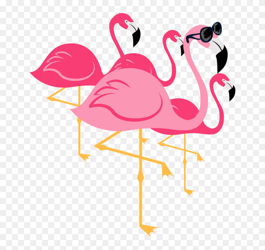 Greater Flamingo Clipart