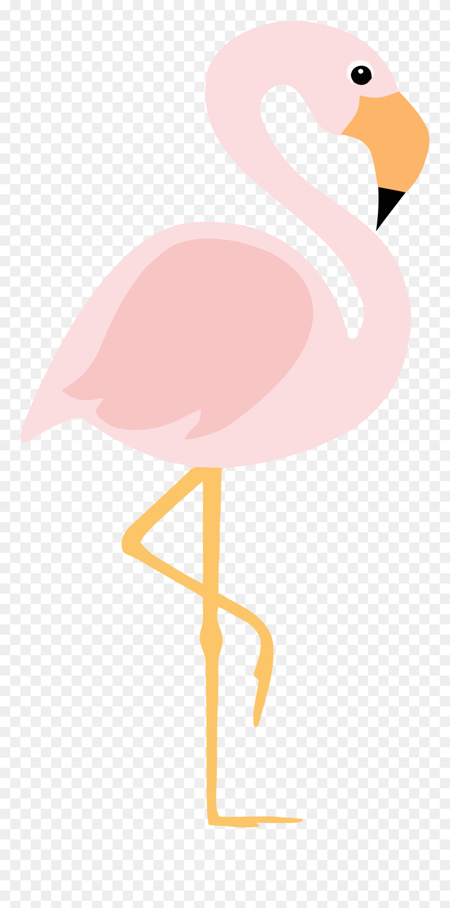 Greater Flamingo Clipart