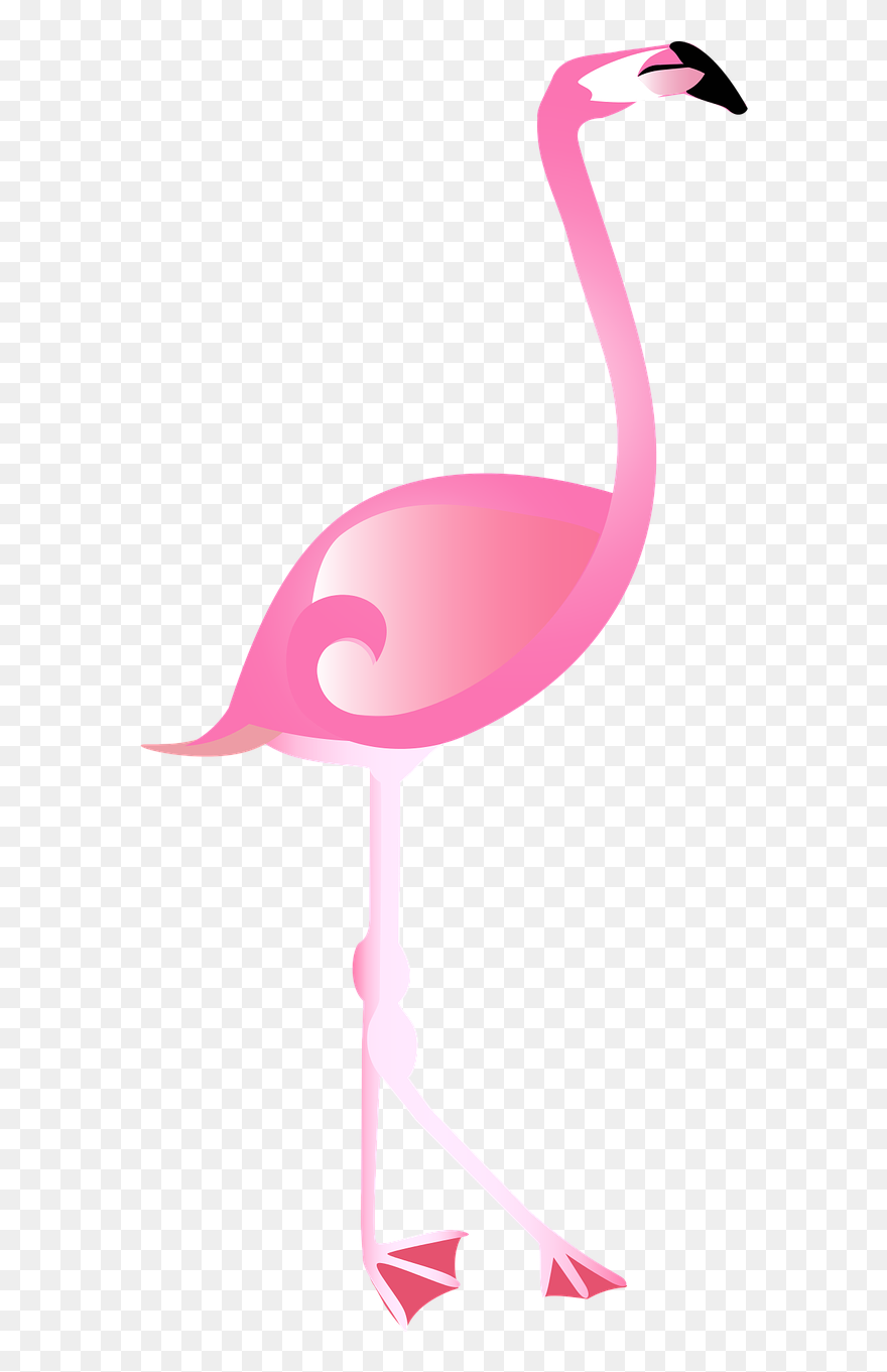 Flamingo Pixabay Clipart