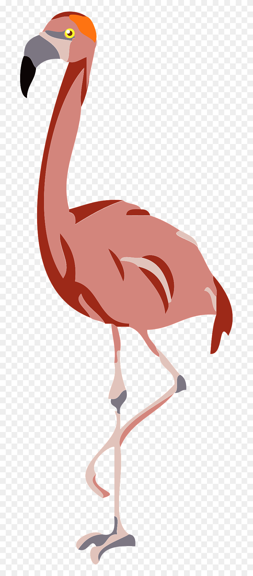 Ibis Clipart