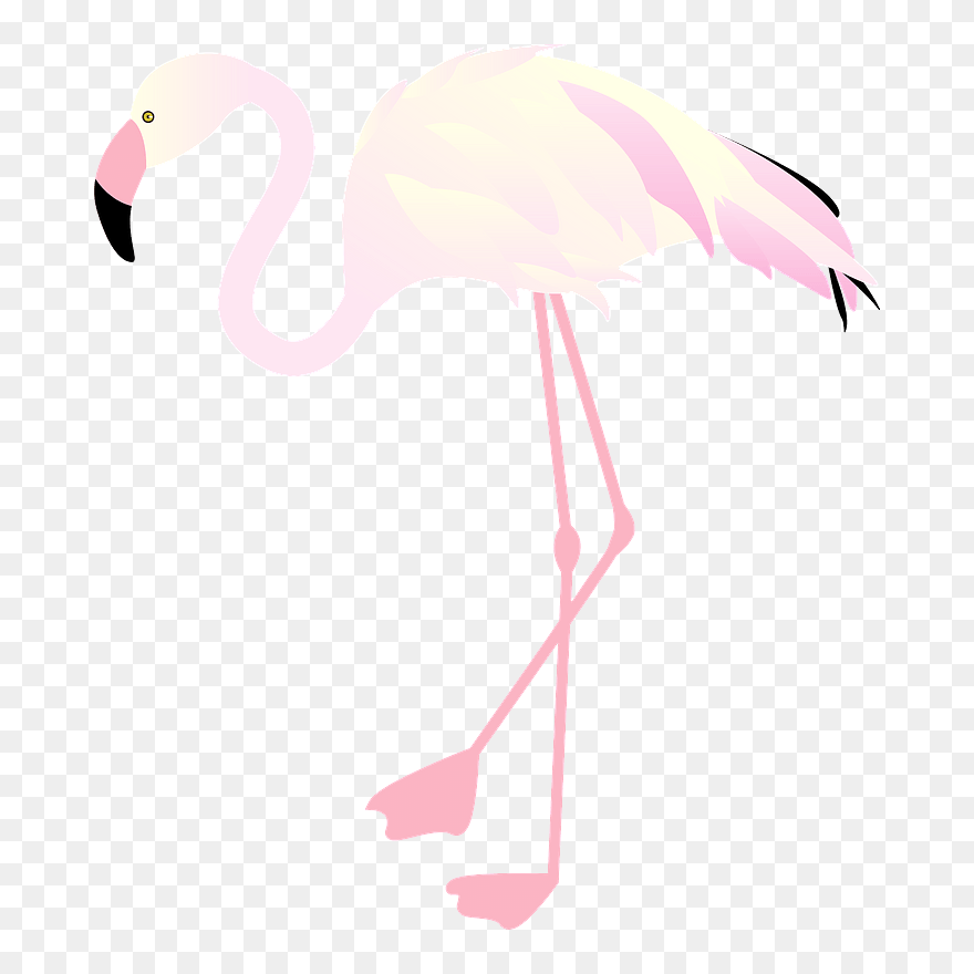 Flamingo Clipart - Greater Flamingo - Png Download
