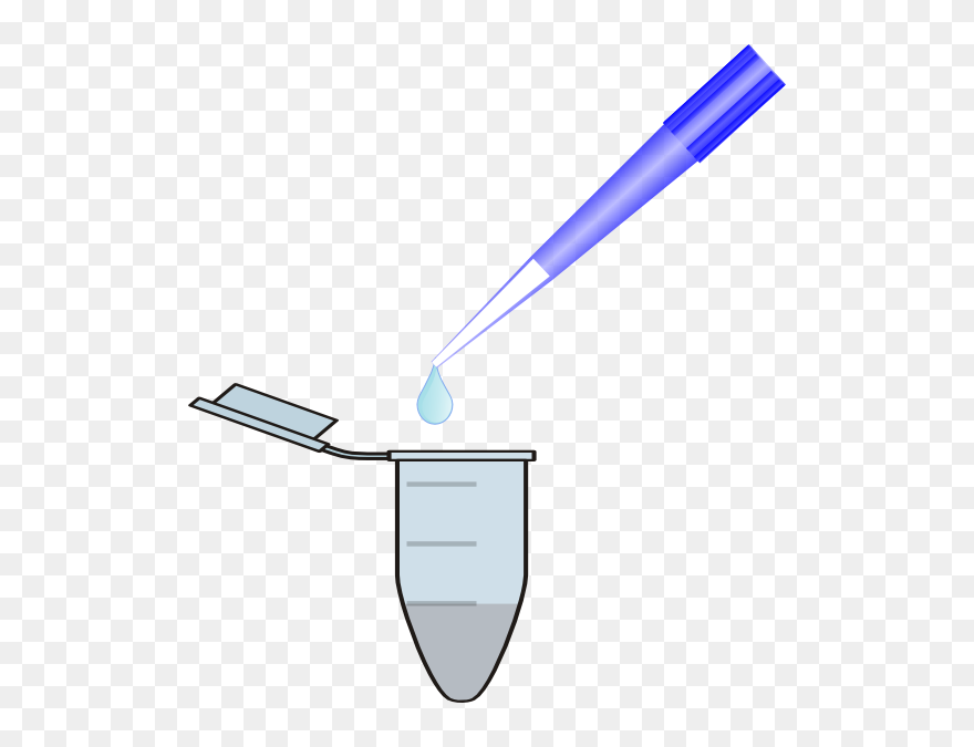 Purification Clipart - Png Download