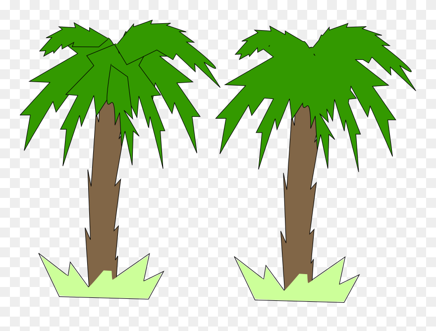 Tree Palm Png - 2d Palm Tree Png Clipart