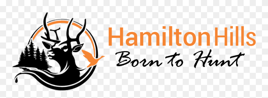 Sniper Clipart Turkey Hunting - Hunt - Png Download